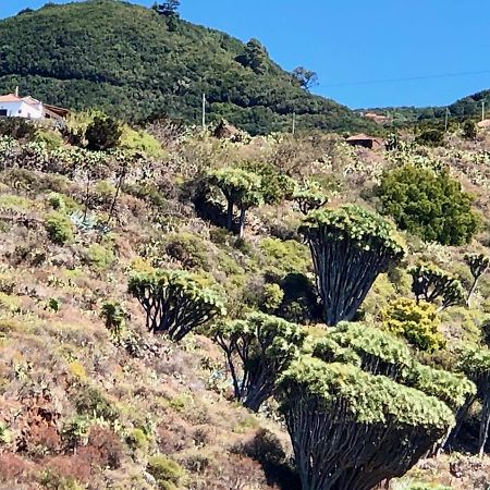 Casa Rural Los Barranquitos Гарафия Экстерьер фото